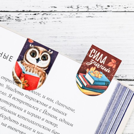 Magnetic bookmarks "Keeper of Knowledge", 8 pcs.-3