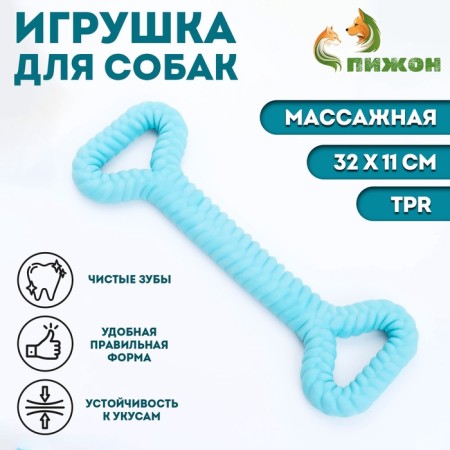 Dog toy "Big Bone", TPR, Massage, 32 x 11, Blue