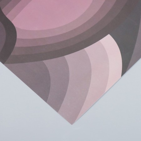 Scrapbooking paper "petals" density 180 g 30.5x32 cm-2