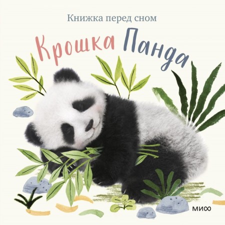 Baby Panda. Wood A.