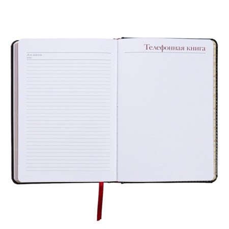 Diary of a low -end A5+, 136 sheets of Sidney Nebraska, hard cover, artificial leather, silver cut, black-14