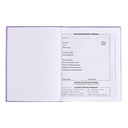 School diary for grades 1-11, "lilac", covered paper cover, hard binding cardboard 7BC, matte lamination, universal cheat sheet, 48 sheets, block 65g/m2-3