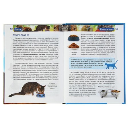 Children's Encyclopedia "Cats"-3