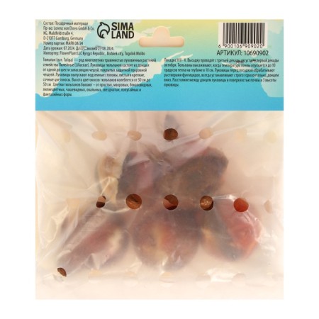 Tulip Miki Chick, rr 12/+, 5pcs, autumn 2024-1