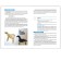Application in nursery groups of kindergarten. From 2 to 3 years. Summaries of classes. Koldin D.N.