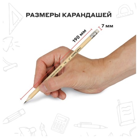 Pencil Black Grain "Designer" HB hexagonal, sharpened, with an eraser-2