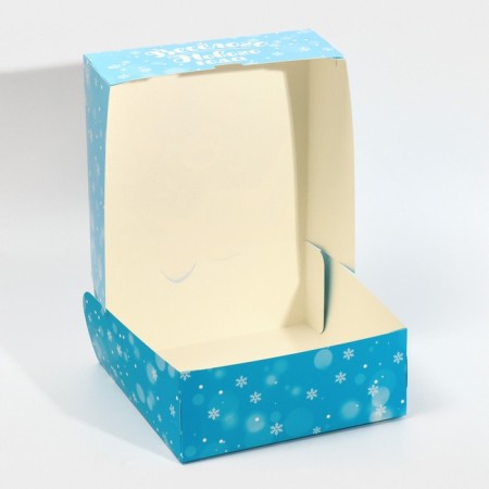 Folding box "Raccoon", 25 x 25 x 10 cm, new year-2