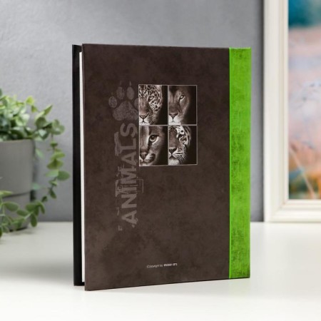 Photo album "lion" in 72 photos, 36 sheets, 15x21 cm-1