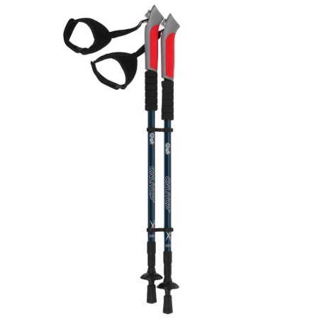 Sticks for Scandinavian walking online, telescopic, 3 sections, up to 135 cm, 2 pcs., Mix color-13