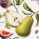 Ethel Kitchen set "Fruit Garden", a towel 40x73 cm, a grade 19x19 cm, apron 60x65 cm