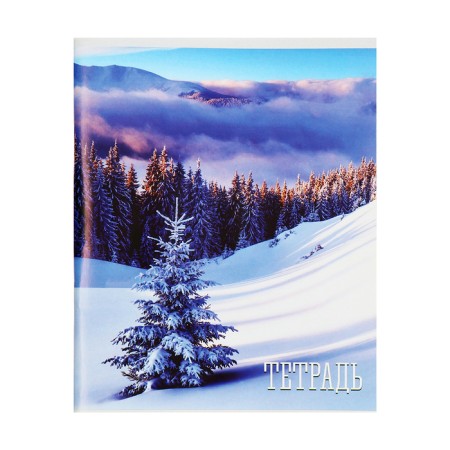Notebook of 48 sheets in the Calligrata “Seasons” cage, covered paper cover, block No. 2, whiteness 75% (gray sheets), mix-4