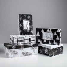 A set of gift boxes 5 in 1 “black and white”, 32.5 x 20 x 12.5 - 22 x 14 x 8.5 cm, new year