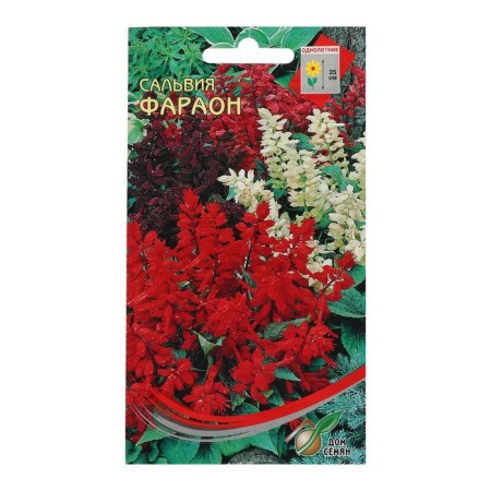 Salvia Flowers "Pharaoh", 15 pcs