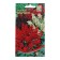 Salvia Flowers "Pharaoh", 15 pcs