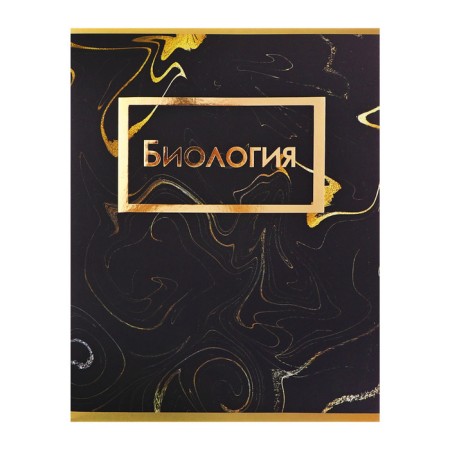 A set of object notebooks Calligata TOP "Dark marble", 48 sheets, 10 items, with reference material, covered cardboard, SoftT-Touch covering with gold foil, offset block-9