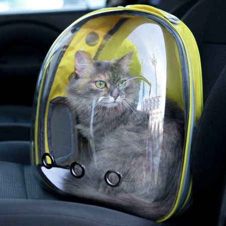 Backpack for carrying animals, transparent, 31 x 28 x 42 cm, yellow-2