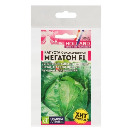 White cabbage seeds of white megaton, set 5 pcs-2