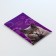 International universal veterinary passport for cats