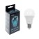 Luazon Lighting, A60, 15 W, E27, 1350 lm, 3000 K, warm white lamp.