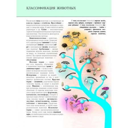 Undersea world. Complete encyclopedia. Schoolboy Yu.K.-12