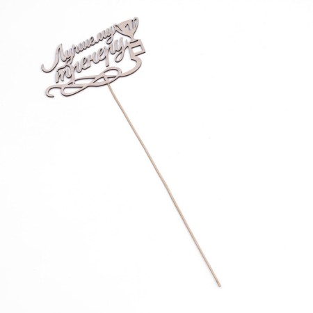 Topper "Best Coach", natural 15x8.3 cm-2