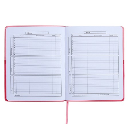 Universal Grade 1-11 Diary, 48 pink sheets, firm artificial leather cover, pancake embossing, liesse-1