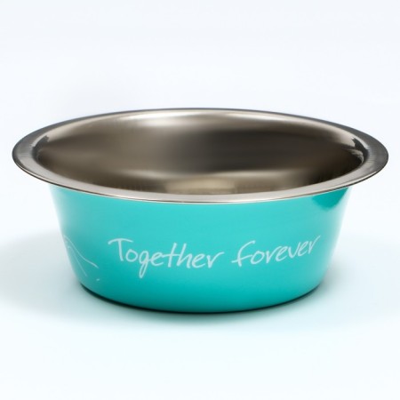 Standard bowl "Together Forever", 350 ml, mint-1