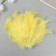Pen decorative goose downy "yellow" set 40 pcs h = 10-15 cm
