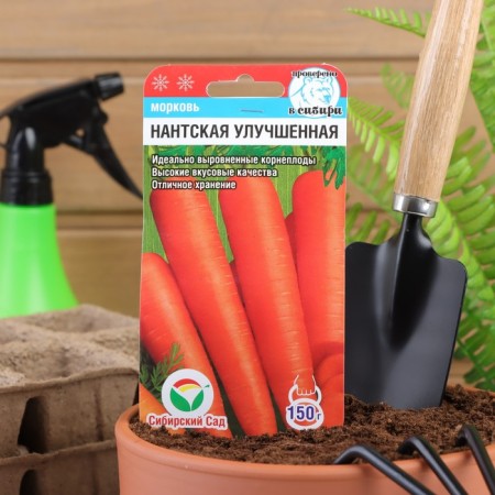 Carrots "Nantic improved", 2 g