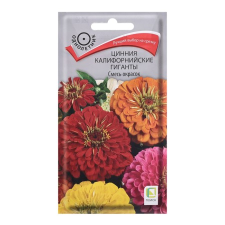 Cinnia flower seeds "California giants", a mixture of colors, 0.4g
