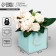 Gift box for flowers with PVC lid, packaging, Present, 12 x 12 x 12 cm