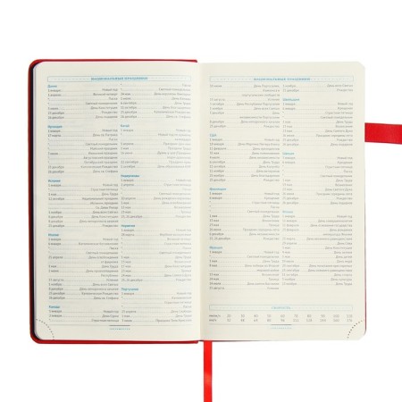 Diary of a low -up A5, 136 Premier sheets, solid cover, artificial leather, lies, magnetic refuge, beige block 70 g/m2, red-11