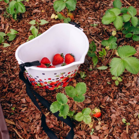 Container for collecting berries, 3 l, "berries", white-11