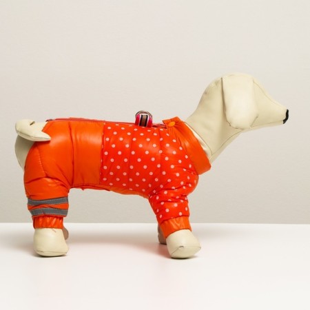 Kombinson for dogs "peas", size 16 (DS 30 cm, OG 44 cm, Osh 34 cm), red-1