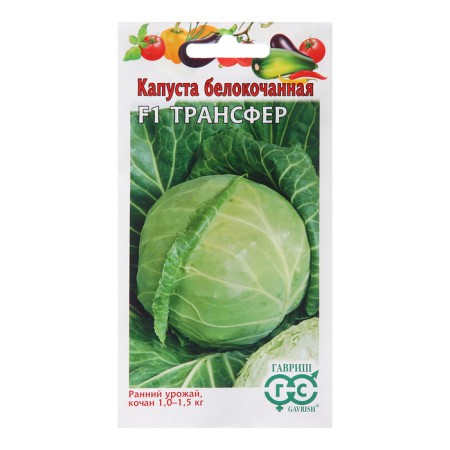 Cabbage seeds Belokoch. "Transfer", f1, 10 pcs