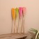 Set of dried flowers 80 cm (10 pcs) mix