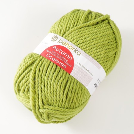 Autumn yarn 25% wool, 75% pan 150m/200g (119-goroch)-1