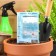 Seeds of cucumber "salting", 0.5 g