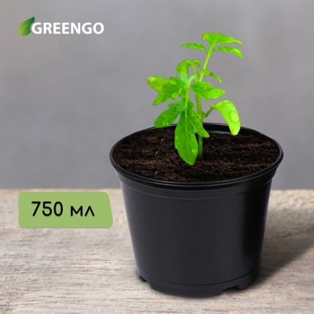 Pot for seedlings, 750 ml, d = 12 cm, h = 10.5 cm, black, Greengo