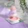 Washing brush with a stand "Avocado"