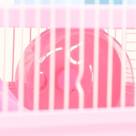 A cage for rodents "Pigzon" with a lock, 31 x 24 x 27 cm, pink-5