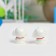Miniature Puppet "Dog", set 2 pcs., Size 1 pc. - 2.7 × 2.4 cm