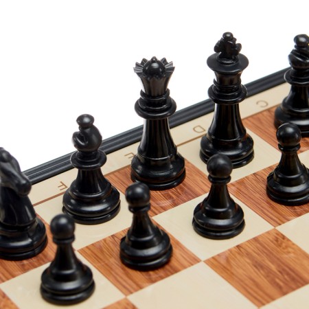 Chess "classic", on a magnet, 24 x 24 cm-2