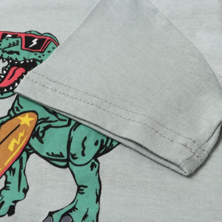 T-shirt for a boy, light gray/dinosaur, height 122-2