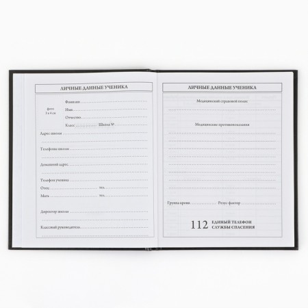 School Diary 1-4 class, in a solid cover, 48 liters "September 1: Anime Comic"-3