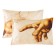 Set of pillowcases "Ethel" Creation 50x70 cm - 2 pcs, 100% cotton, calico