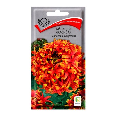 Gaylardia flowers beautiful Lollipap two -tone, 0.1 gr