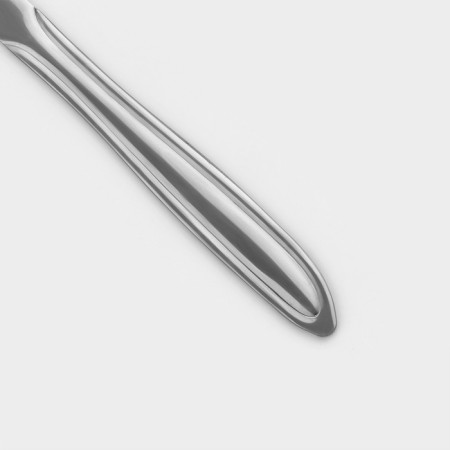 Table Knife "Beagge", length = 20 cm, thickness = 2 mm, silver color-2