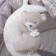 Musical Suspension "Gray Bear", groovy, with a rattle, on a crib, stroller, crumb I