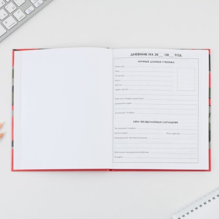 School Diary 5-11 Grade "September 1: Hakki", solid cover 7BC, glossy lamination, 48 sheets-2